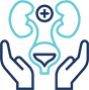 Paediatric urology